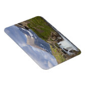 Die Packer führen die Pferde über die Brücke Magnet (Rechte Seite)