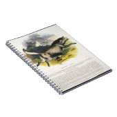 Die pädagogische Illustrations-PU des Wolfs (Canis Notizblock (Rechte Seite)