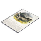 Die pädagogische Illustrations-PU des Wolfs (Canis Notizblock (Linke Seite)