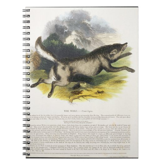 Die pädagogische Illustrations-PU des Wolfs (Canis Notizblock (Vorderseite)