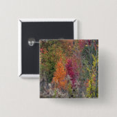Die Paletten-Knopf des Herbstes Button (Vorne & Hinten)