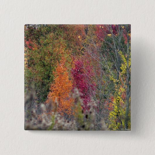Die Paletten-Knopf des Herbstes Button (Vorderseite)