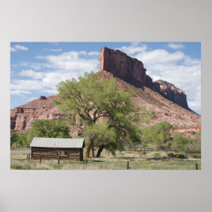 Die Palisade und die Pioneer-Kabine Poster