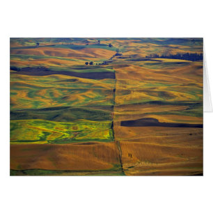 Die Palouse von Steptoe Butte, Colfax,
