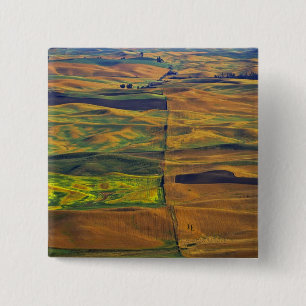 Die Palouse von Steptoe Butte, Colfax, Button