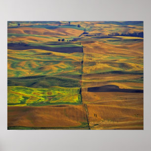 Die Palouse von Steptoe Butte, Colfax, Poster