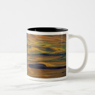 Die Palouse von Steptoe Butte, Colfax, Zweifarbige Tasse