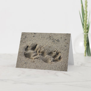 Die Papdrucke der Hoffnung im Sand Karte