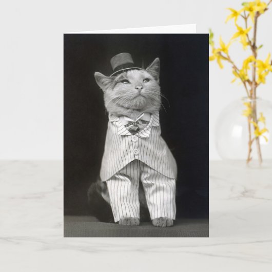 Die Papierkatze, 1906 Karte (Gelbe Blume)