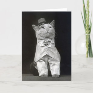 Die Papierkatze, 1906 Karte