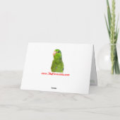 Die Parrotlets alles- Gute zum Karte (Rückseite)