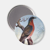 Die Passagiertaube Magnet (Vorderseite/Rückseite)