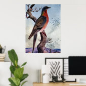 Die Passagiertaube Poster (Heimbüro)