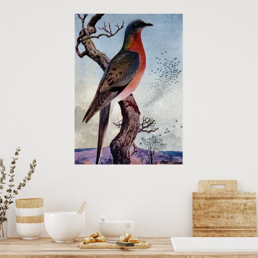 Die Passagiertaube Poster (Küche)