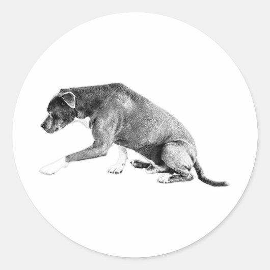 Die Pawshake - Pitbull Mix Runder Aufkleber (Vorderseite)