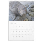 Die Pazifikküste 2016 - Siegel und Scenics Kalender (Mär 2027)