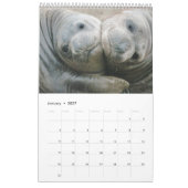 Die Pazifikküste 2016 - Siegel und Scenics Kalender (Jan 2027)