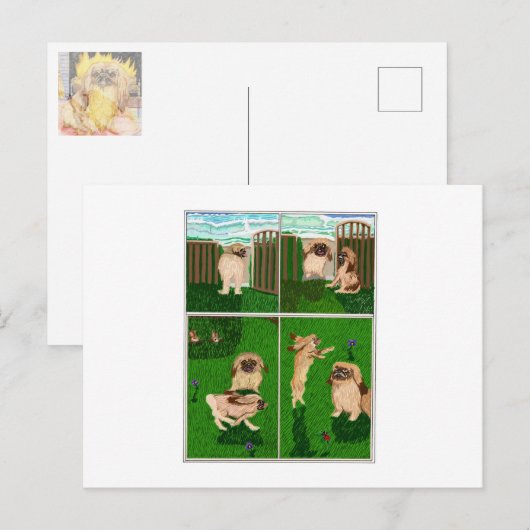 Die Pekingese Feiertagspostkarte (Vorne/Hinten)