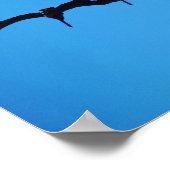 Die Pelikane Poster (Ecke)