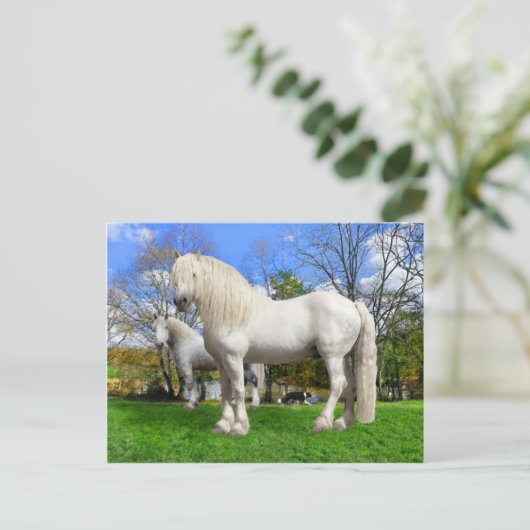 "Die Percherons" Postkarte (Stehend Vorderseite)