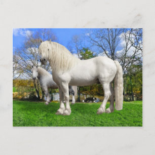 "Die Percherons" Postkarte