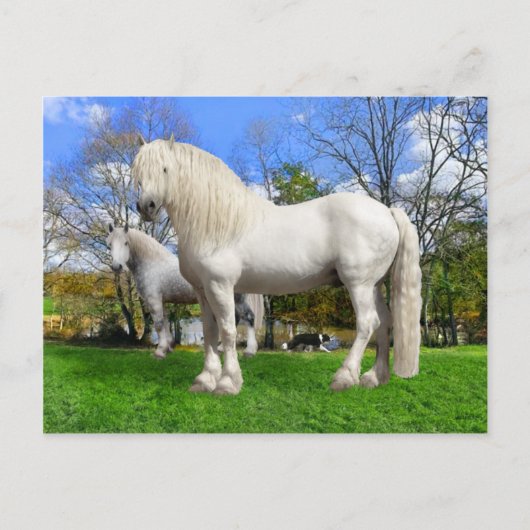 "Die Percherons" Postkarte (Vorderseite)