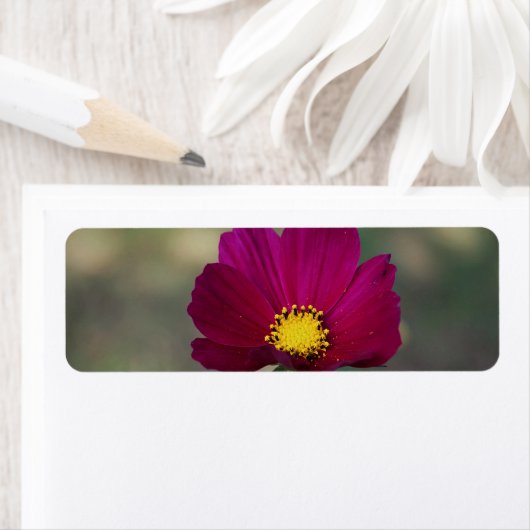 Die perfekte Blume der Schwester (Insitu)