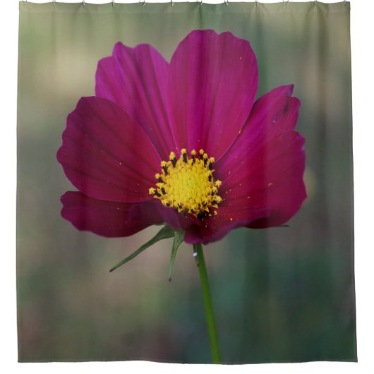 Die perfekte Blume der Schwester Duschvorhang (Vorderseite)