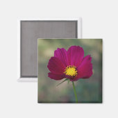 Die perfekte Blume der Schwester Magnet (Vorderseite/Rückseite)