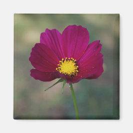 Die perfekte Blume der Schwester Magnet