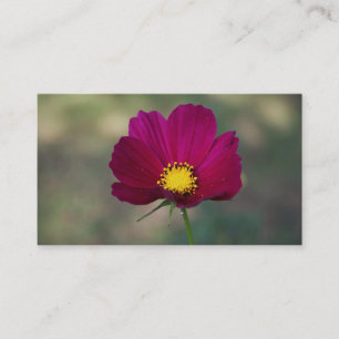 Die perfekte Blume der Schwester Visitenkarte