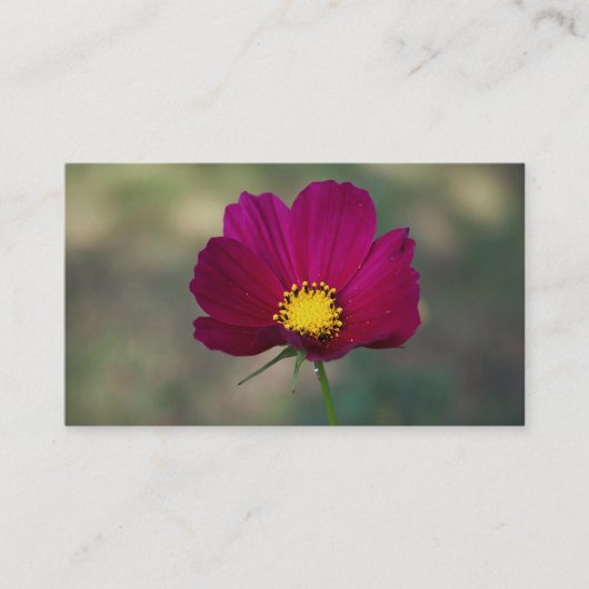 Die perfekte Blume der Schwester Visitenkarte (Vorderseite)