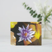 Die perfekte Blume Postkarte (Stehend Vorderseite)