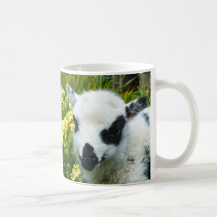 Die perfekte Lambie Tasse