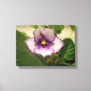 Die perfekte Liege auf der Leinwand