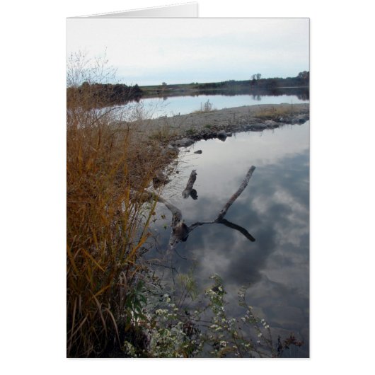 Die perfekte Reflektion (Vorne)