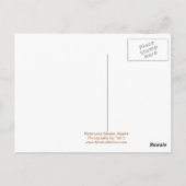 Die perfekte Reise nach Alaska Postkarte (Rückseite)