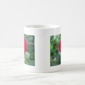 Die perfekte Rose Kaffeetasse (Mittel)