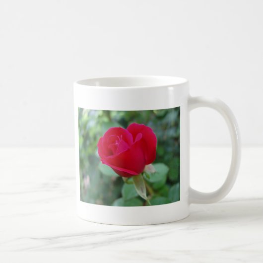 Die perfekte Rose Kaffeetasse (Rechts)