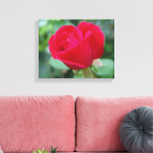 Die perfekte Rose! Leinwanddruck (Insitu (Wohnzimmer))