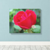 Die perfekte Rose! Leinwanddruck (Insitu (Holzboden))