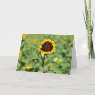 Die perfekte Sonnenblume - eine glückliche Grußkar Karte