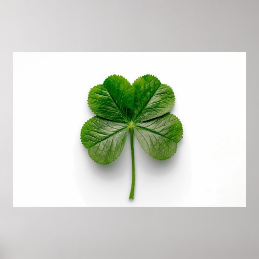 Die Perfektion der Natur: Die Symmetrie eines Leaf Poster (Vorne)