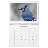 Die Perspektive eines Fotografen Kalender (Feb 2027)