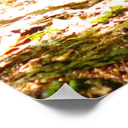 Die Perspektive eines Hundes Poster (Ecke)