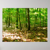 Die Perspektive eines Hundes Poster (Vorne)