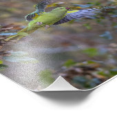 Die Perücke Fotodruck (Ecke)