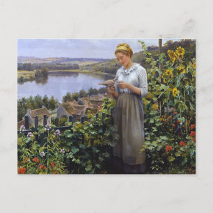 Die Pet Dove Postcard - Daniel Ridgway Knight Postkarte