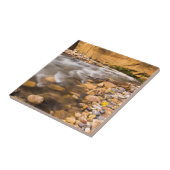 Die Pfeile der Jungfrau im Herbst 4 Fliese (Seite)