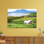 Die Pferde von Connemara | Galway, Irland Leinwanddruck (Insitu (Wohnzimmer))